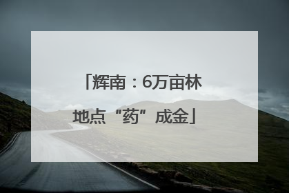 辉南：6万亩林地点“药”成金